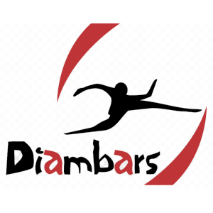 DIAMBARS